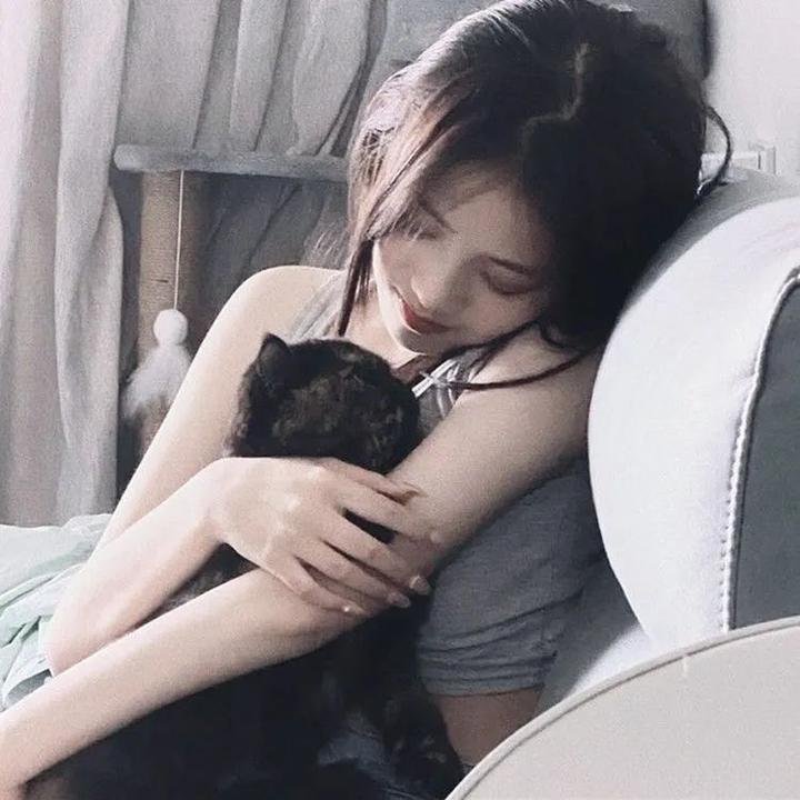 重生退婚妻第二季